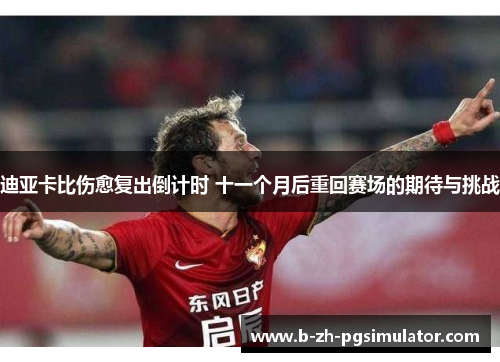 迪亚卡比伤愈复出倒计时 十一个月后重回赛场的期待与挑战